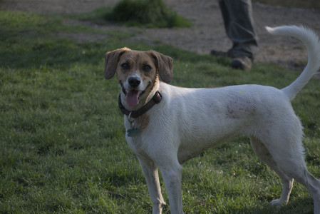 20250502_dog park__DSC0377_.jpg