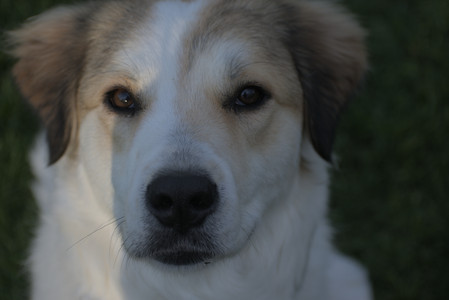 20250502_dog park__DSC0437_.jpg