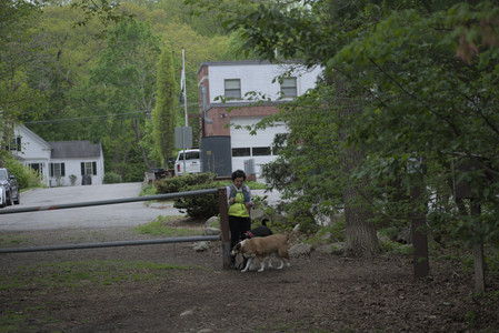 20250507_Spider and Dog Park and Leafs__DSC0045_.jpg