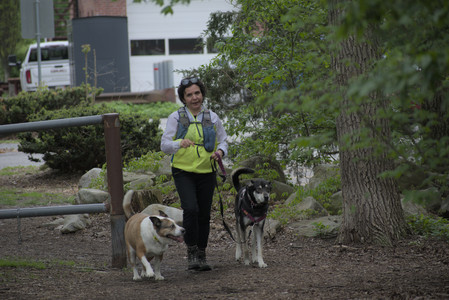 20250507_Spider and Dog Park and Leafs__DSC0047_.jpg