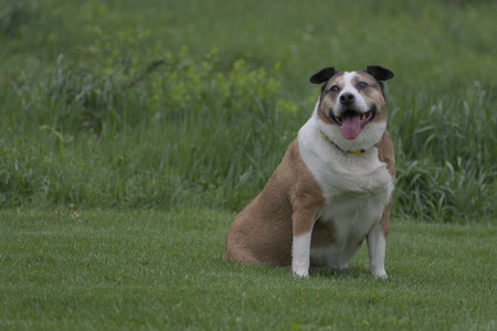 20250507_Spider and Dog Park and Leafs__DSC0081_.jpg