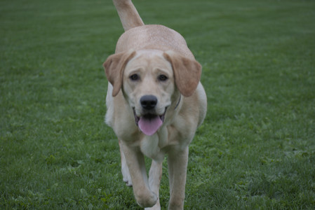20250507_Spider and Dog Park and Leafs__DSC0195_.jpg
