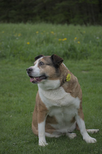 20250507_Spider and Dog Park and Leafs__DSC0245_.jpg