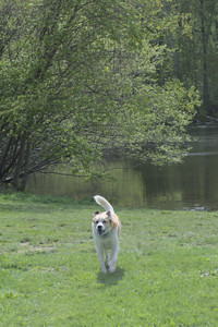 20250508_Dog park and cats__DSC0060_.jpg