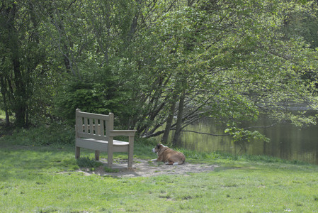 20250508_Dog park and cats__DSC0065_.jpg