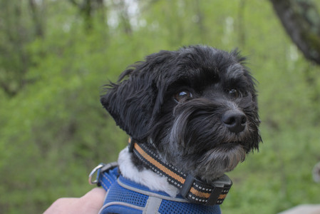 20250510_Dog Park and Cats__DSC0083_.jpg