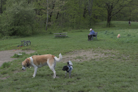 20250510_Dog Park and Cats__DSC0103_.jpg
