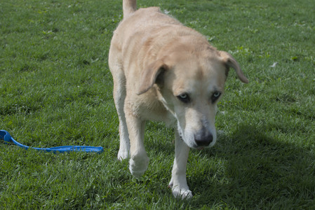 20250510_Dog Park and Cats__DSC0131_.jpg