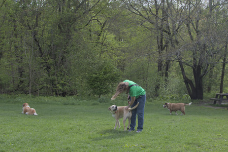 20250510_Dog Park and Cats__DSC0148_.jpg