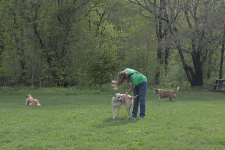 20250510_Dog Park and Cats__DSC0149_.jpg