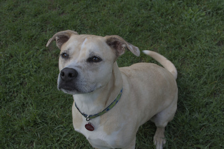 20250510_Dog Park and Cats__DSC0162_.jpg