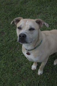 20250510_Dog Park and Cats__DSC0164_.jpg