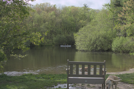 20250510_Dog Park and Cats__DSC0167_.jpg