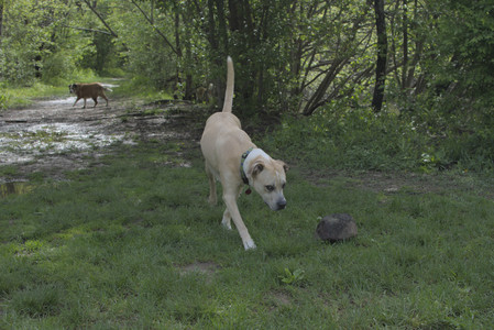 20250510_Dog Park and Cats__DSC0172_.jpg