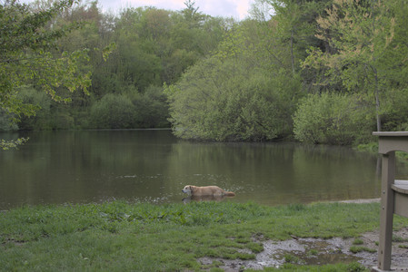 20250510_Dog Park and Cats__DSC0179_.jpg