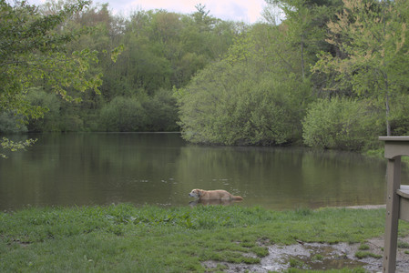 20250510_Dog Park and Cats__DSC0180_.jpg