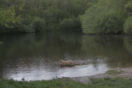 20250510_Dog Park and Cats__DSC0181_.jpg