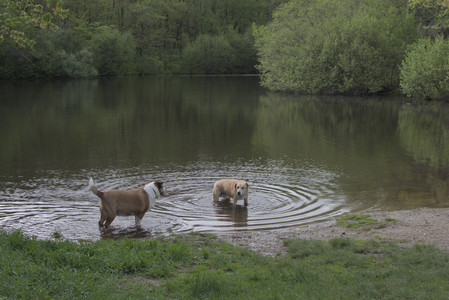 20250510_Dog Park and Cats__DSC0183_.jpg