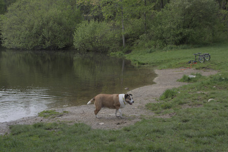 20250510_Dog Park and Cats__DSC0184_.jpg