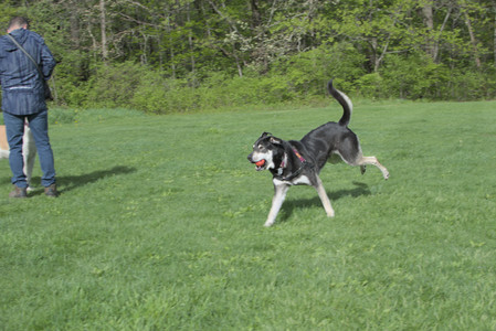 20250510_Dog Park and Cats__DSC0203_.jpg