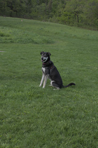 20250510_Dog Park and Cats__DSC0223_.jpg