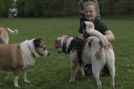 20250510_Dog Park and Cats__DSC0241_.jpg