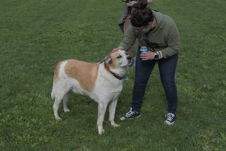 20250510_Dog Park and Cats__DSC0247_.jpg