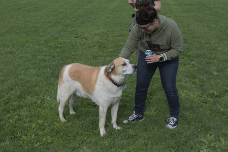 20250510_Dog Park and Cats__DSC0250_.jpg