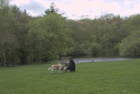 20250510_Dog Park and Cats__DSC0267_.jpg