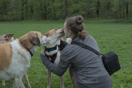 20250510_Dog Park and Cats__DSC0279_.jpg