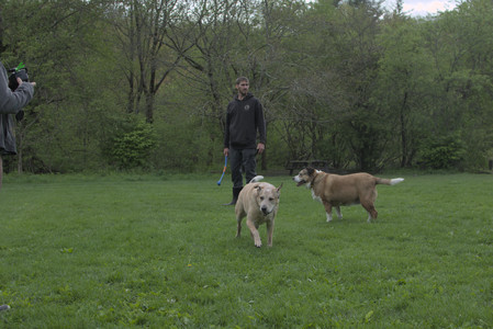 20250510_Dog Park and Cats__DSC0291_.jpg