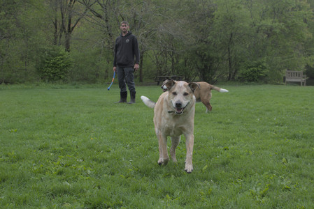 20250510_Dog Park and Cats__DSC0297_.jpg