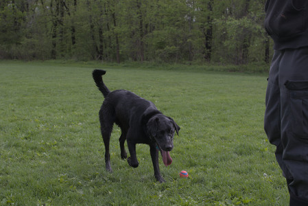 20250510_Dog Park and Cats__DSC0308_.jpg