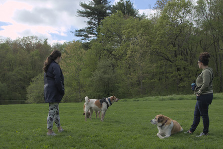 20250510_Dog Park and Cats__DSC0311_.jpg