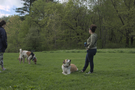 20250510_Dog Park and Cats__DSC0312_.jpg