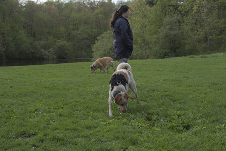 20250510_Dog Park and Cats__DSC0321_.jpg