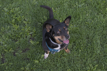 20250510_Dog Park and Cats__DSC0326_.jpg