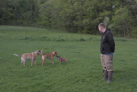 20250510_Dog Park and Cats__DSC0327_.jpg