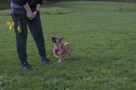 20250510_Dog Park and Cats__DSC0332_.jpg