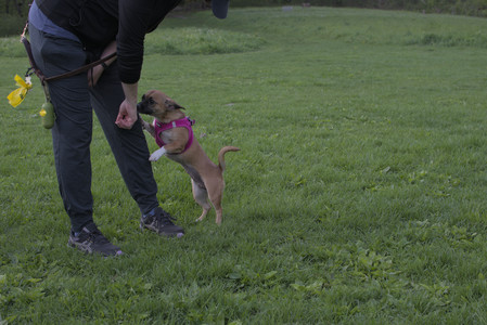 20250510_Dog Park and Cats__DSC0334_.jpg