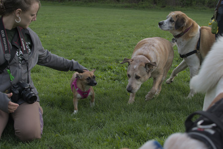 20250510_Dog Park and Cats__DSC0340_.jpg