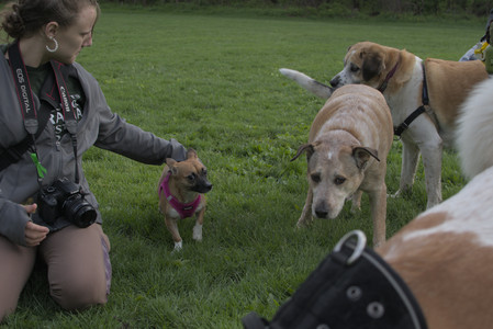 20250510_Dog Park and Cats__DSC0341_.jpg