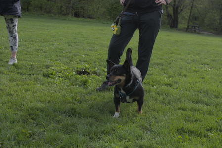 20250510_Dog Park and Cats__DSC0355_.jpg