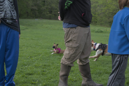 20250510_Dog Park and Cats__DSC0361_.jpg