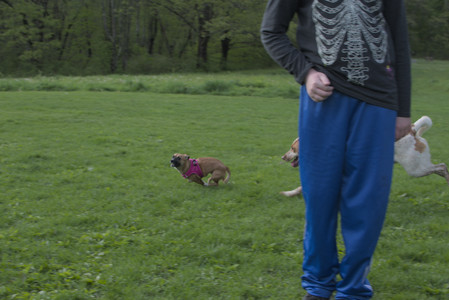 20250510_Dog Park and Cats__DSC0363_.jpg