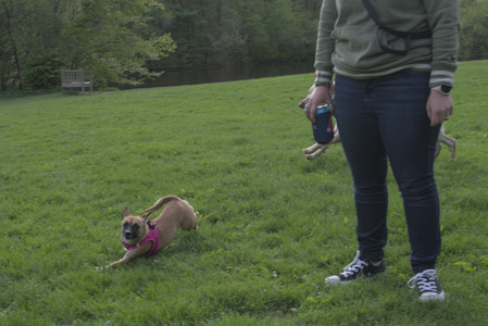 20250510_Dog Park and Cats__DSC0368_.jpg