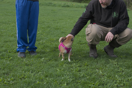 20250510_Dog Park and Cats__DSC0370_.jpg