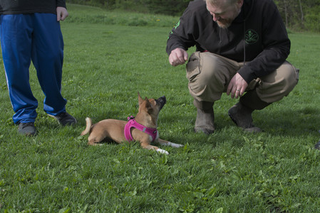 20250510_Dog Park and Cats__DSC0371_.jpg