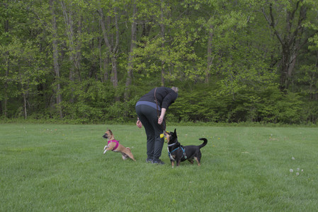 20250510_Dog Park and Cats__DSC0380_.jpg