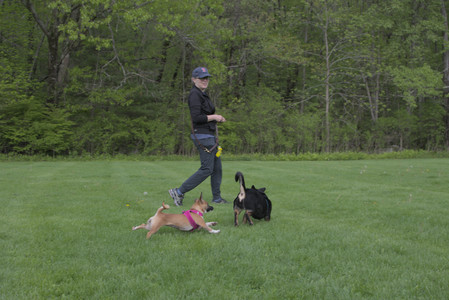 20250510_Dog Park and Cats__DSC0384_.jpg